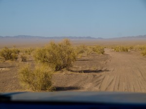 Maranjab desert (14)       